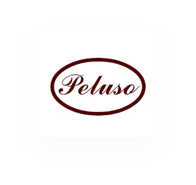 Zestaw stereo mikrofonów Peluso P-84